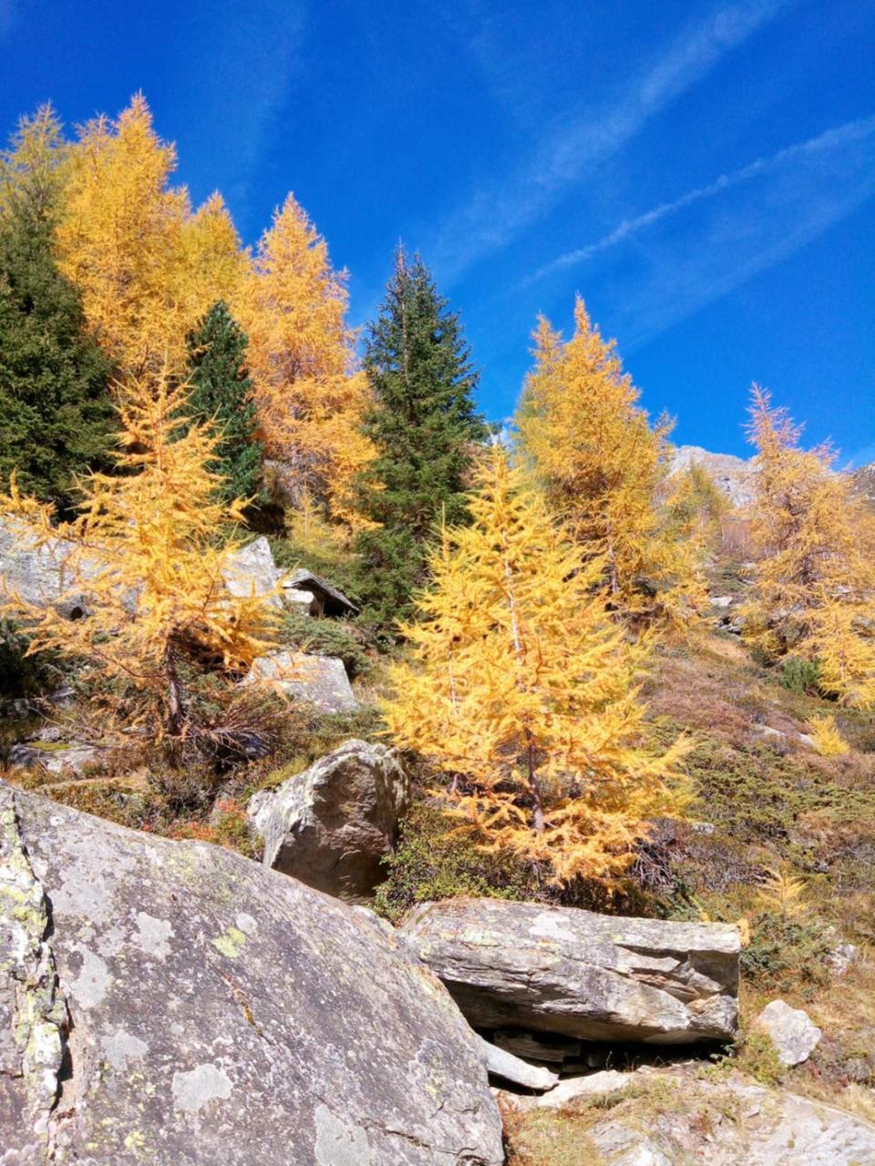 Pension&Appartament Anna Predoi Bagian luar foto